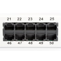 DIGITUS DN-91350-1 - CAT 3 ISDN Patch Panel, ungeschirmt, 50-Port RJ45, 8P4C, LSA, 1HE, Rack Mount, grau, 482x44x109