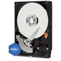 WD Blue - Festplatte - 500 GB