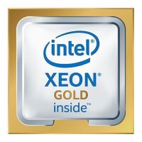 Intel Xeon 6242 Xeon Gold 3,1 GHz - Skt 3647 Cascade Lake