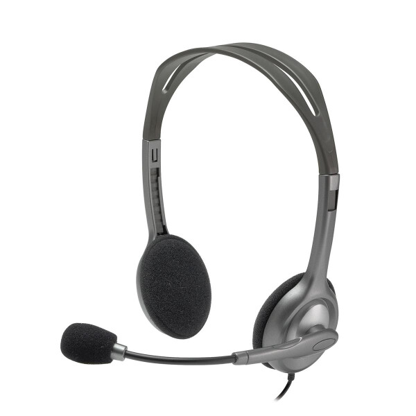 Logitech LGT-H110 - Kopfhörer - Kopfband - Büro/Callcenter - Schwarz - Silber - Binaural - 1,8 m