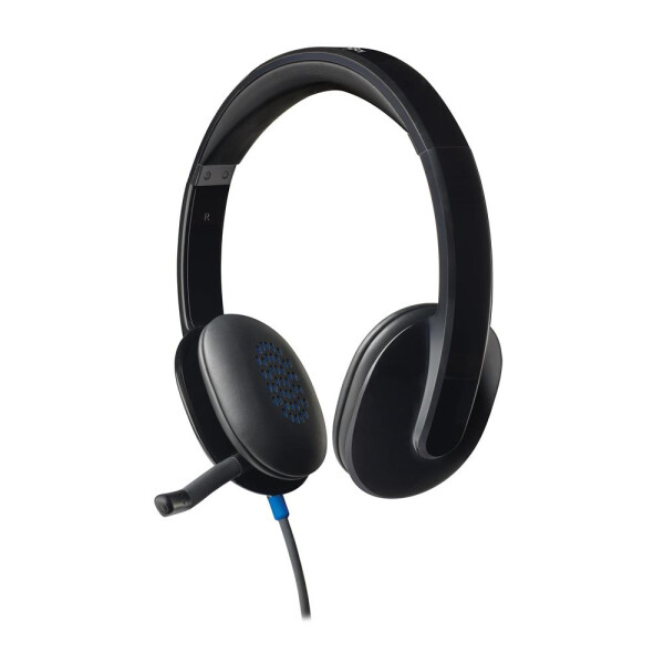 Logitech H540 USB Computer Headset - Kopfhörer - Kopfband - Büro/Callcenter - Schwarz - Binaural - Digital