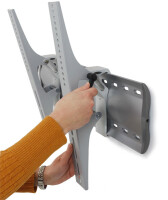 Ergotron 61-143-003 - 81,3 cm (32") - 79 kg - -20 - 20° - Silber