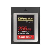 SanDisk SDCFE-256G-GN4NN - 256 GB - CFexpress - 1700 MB/s...