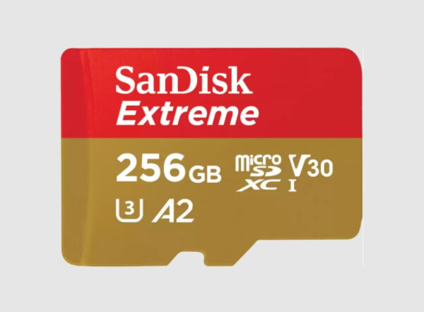 SanDisk Extreme microSDXC+SD - Extended Capacity SD (MicroSDHC)