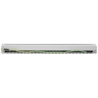 Intellinet 24-Port Cat6a Patchpanel - geschirmt - FTP - 1 HE - Klemmleisten mit 90 Grad abgewinkelten Kabeleinführungen - grau - IEEE 802.3 - IEEE 802.3ab - IEEE 802.3u - Gigabit Ethernet - Cat6a - F/UTP (FTP) - 22/24 - Grau