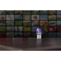 Kingston DataTraveler 256GB microDuo 3C 200MB/s dual USB-A + USB-C - 256 GB - USB Type-A / USB Type-C - 3.2 Gen 1 (3.1 Gen 1) - 200 MB/s - andere - Edelstahl - Violett