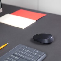 Logitech M171 - Beidhändig - Optisch - RF Wireless - 1000 DPI - Grau