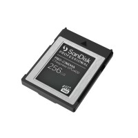 SANDISK PROFESSIONAL SanDisk PRO-CINEMA - 256 GB - CFexpress - 1700 MB/s - 1400 MB/s - Tropfsicher - Schwarz