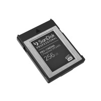 SANDISK PROFESSIONAL SanDisk PRO-CINEMA - 256 GB - CFexpress - 1700 MB/s - 1400 MB/s - Tropfsicher - Schwarz