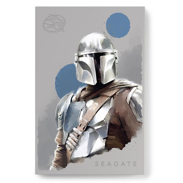 Seagate STAR WARS GAMING HDD 2TB MANDAL 2.5IN USB 3.2 GEN 1 EXTERNAL HDD - Festplatte - 2.000 GB