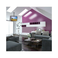 Techly Teleskop Universal Deckenhalterung für 1 LED LCD TV 23"- 42", langer Arm
