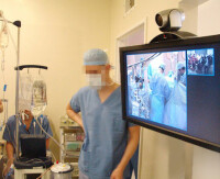 Ergotron Interactive Arm - HD - 18,2 kg - 76,2 cm (30") - 139,7 cm (55") - 200 x 100 mm - 200 x 100 mm - Aluminium