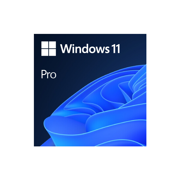 Microsoft Windows 11 Pro OEM - Erstausrüster (OEM) - 1 Lizenz(en) - 64 GB - 4096 GB - 1000 GHz - Deutsch