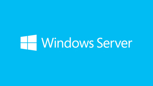 Microsoft Windows Server - Kundenzugangslizenz (CAL)