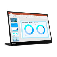 Lenovo THINKVISION M14 14IN MNTR