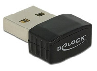 Delock USB 2.0 Dual Band WLAN ac/a/b/g/n Nano Stick - Netzwerkadapter - USB 2.0