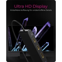ICY BOX IB-DK2116-C USB-C HDMI DisplayPort