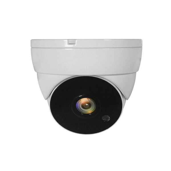 LevelOne CCTV ACS-5302 Dome In 2MP IR - Netzwerkkamera