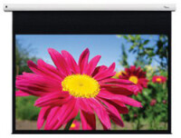 Optoma DE-1123EGA - Motorisiert - 3,12 m (123") -...