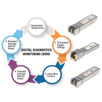 Intellinet 10 Gigabit SFP+ Mini-GBIC Transceiver für...