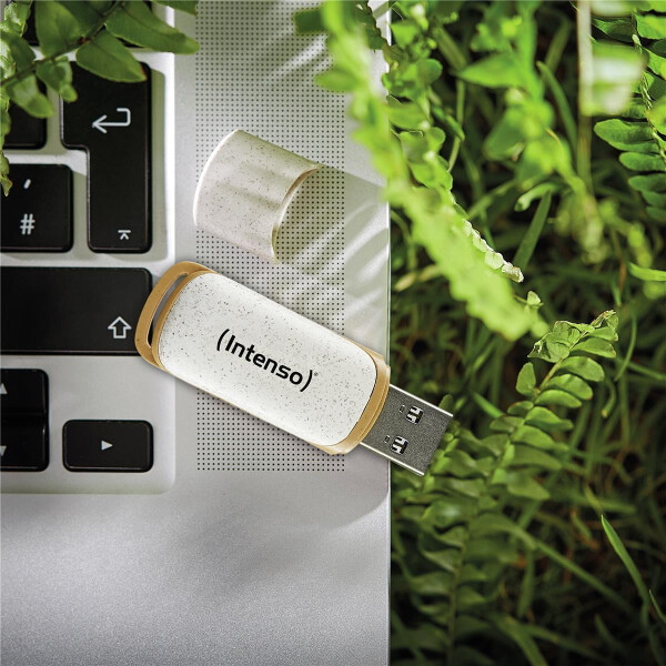 Intenso Green Line - 64 GB - USB Typ-A - 3.2 Gen 1 (3.1 Gen 1) - 70 MB/s - Kappe - Beige - Braun