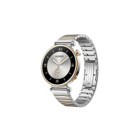 Huawei Watch GT4 41mm Aurora-B19T steel