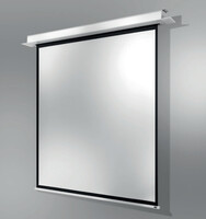 celexon 1000000869 - Motorisiert - 180 cm - 135 cm - 4:3 - Schwarz - Weiß