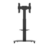 celexon 3770MP - 50 kg - 81,3 cm (32 Zoll) - 177,8 cm (70...