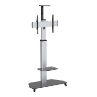 celexon 1000009355 - 70 kg - 81,3 cm (32 Zoll) - 177,8 cm...