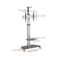 celexon 1000009355 - 70 kg - 81,3 cm (32 Zoll) - 177,8 cm...