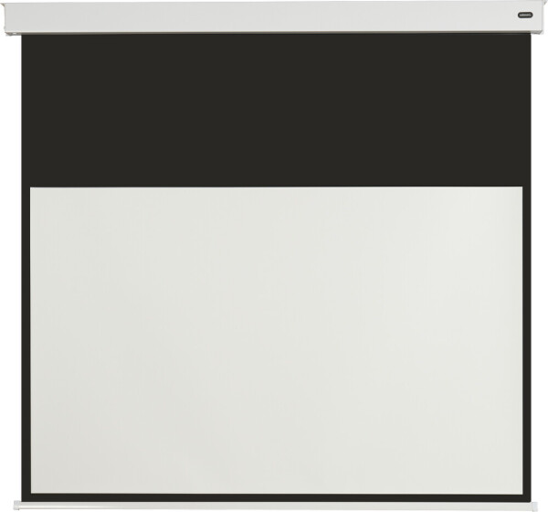 celexon Batterie Leinwand V2.0 Motor Professional Plus 320 x 180 cm