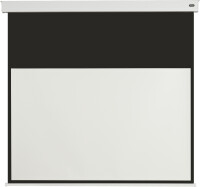 celexon Batterie Leinwand V2.0 Motor Professional Plus...