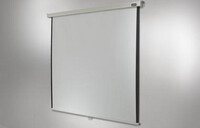 celexon Rollo Professional - Manuell - 4,24 m (167") - 2,9 m - 2,9 m - 1:1 - Weiß