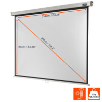 celexon Rollo Professional - Leinwand - 4:3 manuell - 220x165cm - 4:3 - Schwarz - Weiß
