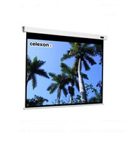 celexon Professional 300x300cm - Motorisiert - 2,9 m - 2,9 m - 1:1 - Weiß