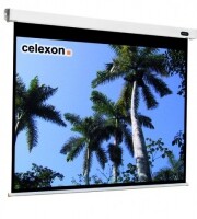 celexon 1090095 - 4:3 - Schwarz - Weiß