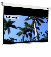 celexon 1090101 - 16:9 - Schwarz - Weiß