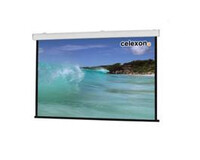 celexon Expert 300x169 cm - Motorisiert - 169 cm - 3 m -...