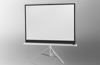 celexon Economy - Manuell - 184 cm - 104 cm - 16:9