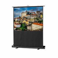 celexon Professional mobile plus - Leinwand - 161 cm ( 63...