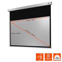 celexon 1090798 - Motorisiert - 3 m - 169 cm - 16:9