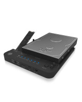 ICY BOX IB-2913MCL-C31 - HDD - SSD - SATA - Serial ATA II - Serial ATA III - 2.5,3.5,M.2 - USB 3.2 Gen 2 (3.1 Gen 2) Type-C - 10 Gbit/s - Schwarz