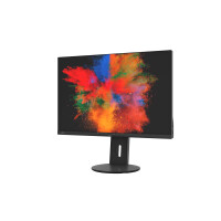 Fujitsu Displays B2410 WS - 61,2 cm (24.1 Zoll) - 1920 x 1200 Pixel - WUXGA - LED - 5 ms - Schwarz