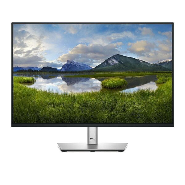 Dell 24 Monitor P2425 - Flachbildschirm (TFT/LCD) - 61,1 cm