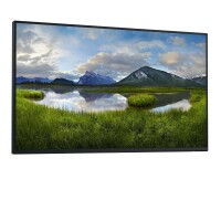 Dell P2425HE 24 USB-C Monitor - Flachbildschirm (TFT/LCD) - 61 cm