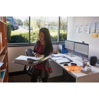 HP E24t G5 FHD Touch-Monitor - 60,5 cm (23.8") -...