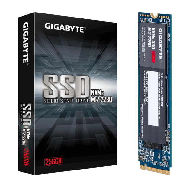 Gigabyte GP-GSM2NE3256GNTD, 256 GB, M.2, 1700 MB/s