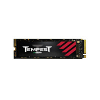 Mushkin Tempest, 256 GB, M.2, 3100 MB/s