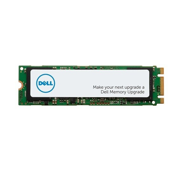 Dell AA615520, 1000 GB, M.2