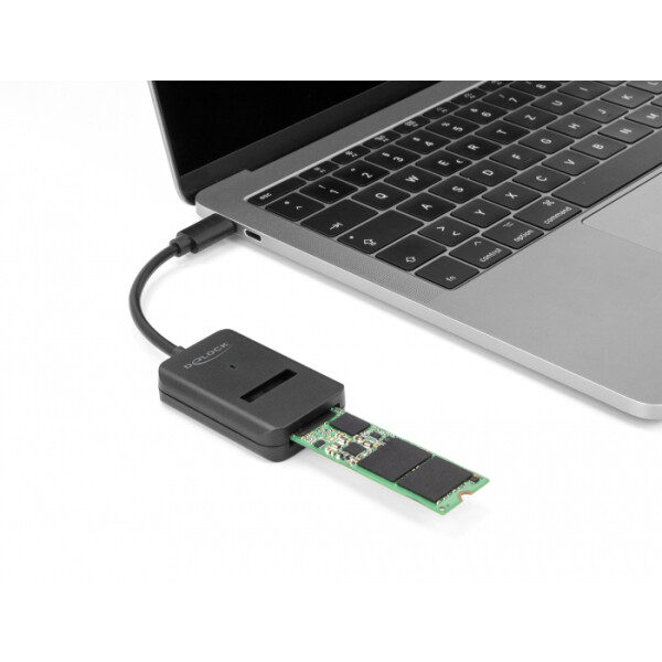 Delock 64198, USB Typ-C, Schwarz, Windows 10, Windows 10 x64, Windows 11, Windows 8.1, Windows 8.1 x64, 1 Stück(e), Realtek RTL9210B